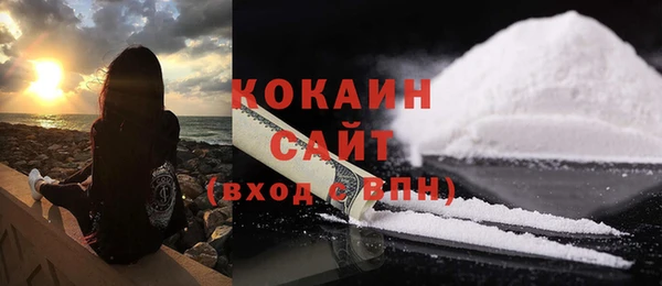 шишки Абаза