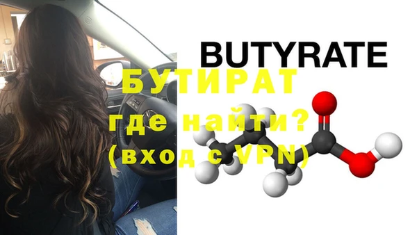 шишки Абаза