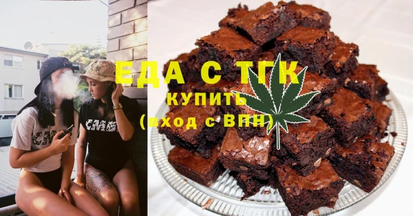 шишки Абаза