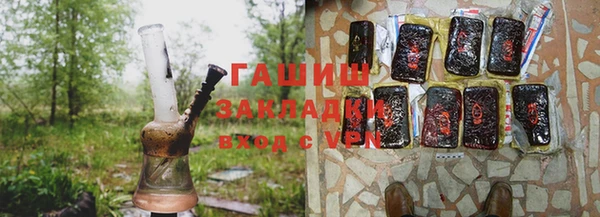 шишки Абаза
