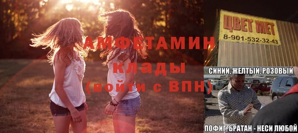 шишки Абаза